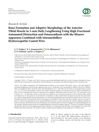 Bone Formation and Adaptive Morphology of the Anterior Tibial Muscle in 3-mm Daily Lengthening Using High-Fractional Automated Distraction and Osteosynthesis with the Ilizarov Apparatus Combined with Intramedullary Hydroxyapatite-Coated Wire