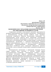 Экономическое управление некоммерческими организациями: функции и задачи