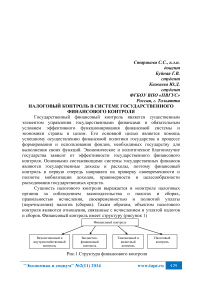 Налоговый контроль в системе государственного финансового контроля