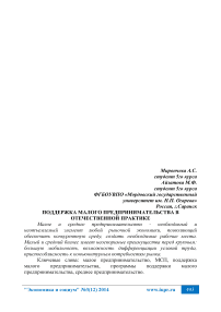 Поддержка малого предпринимательства в отечественной практике