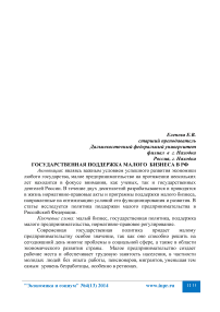 Государственная поддержка малого бизнеса в РФ