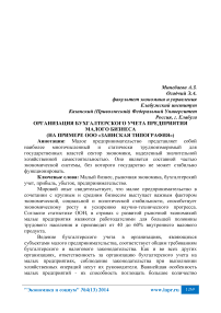 Организация бухгалтерского учета предприятия малого бизнеса (на примере ООО «Заинская типография»)