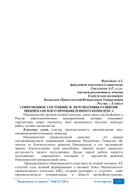 Современное состояние и перспективы развития Нижнекамского промышленного комплекса