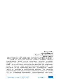 Животные на выращивании и откорме: учет и оценка