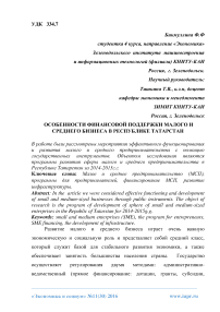 Особенности финансовой поддержки малого и среднего бизнеса в Республике Татарстан