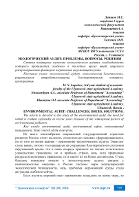 Экологический аудит: проблемы, вопросы, решения