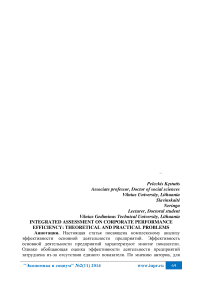 Integrated assessment on corporate performance efficiency: theoretical and practical problems