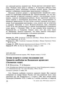 Летние встречи и случаи гнездования гаги Somateria mollissima на Валаамском архипелаге (Ладожское озеро)