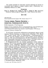 Усатая синица Panurus biarmicus  - новый вид Ленинградской области