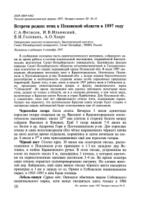 Встречи редких птиц в Псковской области в 1997 году