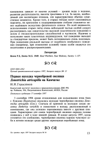 Первая находка чернобровой овсянки Zonotrichia atricapilla на Камчатке