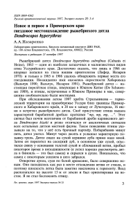 Новое и первое в Приморском крае гнездовое местонахождение рыжебрюхого дятла Dendrocopos hyperythrus