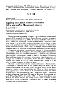 Характер пребывания черноголовой славки Sylvia atricapilla в Мурманской области