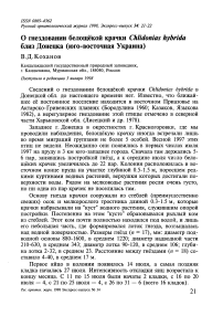 О гнездовании белощёкой крачки Chlidonias hybrida близ Донецка (юго-восточная Украина)