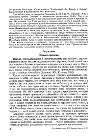 Современный статус южного среднего кроншнепа Numenius phaeopus alboaxillaris Lowe, 1921 в России и Казахстане