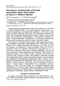 Численность, распределение и биология краснозобой гагары Gavia stellata на Ямале и в Нижнем Приобье