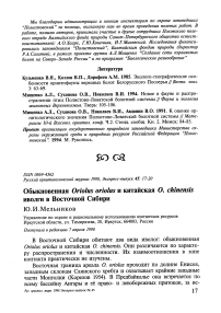 Обыкновенная Oriolus oriolus и китайская О. chinensis иволги в Восточной Сибири