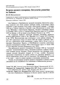 Встречи среднего поморника Stercorarius pomarinus на Байкале