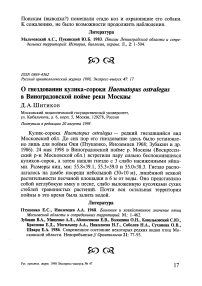 О гнездовании кулика-сороки Haematopus ostralegus в Виноградовской пойме реки Москвы