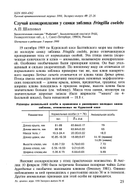 Случай ахондроплазии у самки зяблика Fringilla coelebs