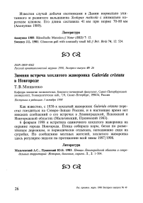 Зимняя встреча хохлатого жаворонка Galerida cristata в Новгороде