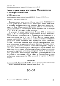 Новая встреча малого веретенника limosa lapponica в Ленинградской области