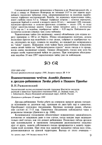 Взаимоотношения чечёток Acanthis flammea и дроздов-рябинников Turdus pilaris в Нижнем Приобье