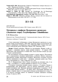 Материалы к авифауне Валаамского архипелага (Ладожское озеро): голубеобразные Columbiformes