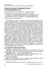 Кольчатая горлица Streptopelia decaocto во Владимирской области
