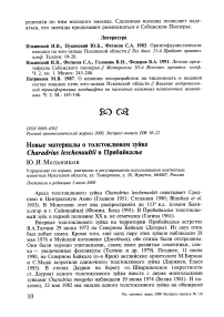 Новые материалы о толстоклювом зуйке Charadrius leschenaultii в Прибайкалье