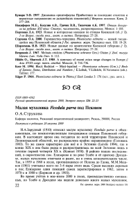 Малая мухоловка Ficedula parva под Псковом