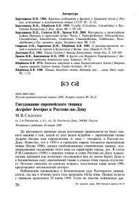 Гнездование европейского тювика Accipiter brevipes в Ростове-на-Дону