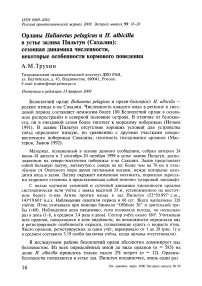 Орланы Haliaeetus pelagicus и Н. albicilla в устье залива Пильтун (Сахалин): сезонная динамика численности, некоторые особенности кормового поведения