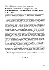 Необычная манипуляция со скорлупой яиц после вылупления птенцов у серой мухоловки Muscicapa striata