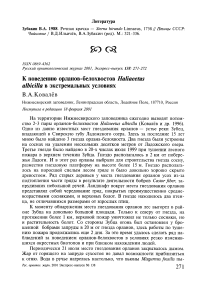 К поведению орланов-белохвостов Haliaeetus albicilla в экстремальных условиях