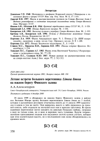 Летние встречи большого веретенника Limosa limosa на южном берегу Финского залива