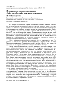 О гнездовании камышевых овсянок Emberiza schoeniclus и питании их птенцов