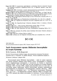 Залёт белоголового орлана Haliaeetus leucocephalus на остров Кунашир