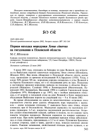 Первая находка мородунки Xenus cinereus на гнездовании в Псковской области