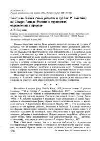 Болотная гаичка Parus palustris и пухляк P. montanus на северо-западе России: о трудностях определения в природе
