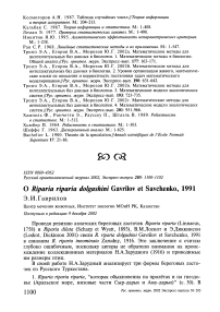 О Riparia riparia dolgushini Gavrilov et Savchenko, 1991