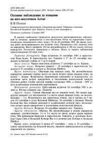 Осенние наблюдения за птицами на юго-восточном Алтае