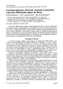 К распространению, биологии, экологии и поведению турухтана Philomachus pugnax на Ямале