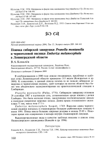 Поимка сибирской завирушки Prunella montanella и черноголовой овсянки Emberiza melanocephala в Ленинградской области