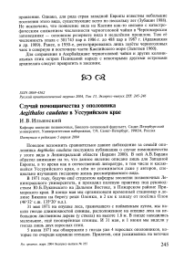 Случай помощничества у ополовника Aegithalos caudatus в Уссурийском крае