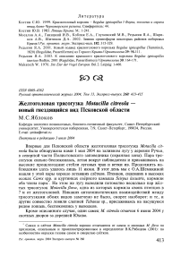 Желтоголовая трясогузка Motacilla citreola - новый гнездящийся вид Псковской области