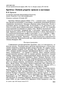 Кречётка Chettusia gregaria: прошлое и настоящее
