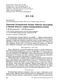 Поведение белошапочной овсянки Emberiza leucocephala в Омской области в период выкармливания птенцов