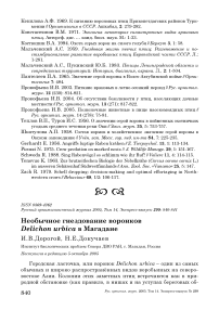 Необычное гнездование воронков Delichon urbica в Магадане