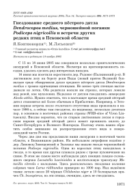 Гнездование среднего пёстрого дятла Dendrocopos medius, черношейной поганки Podiceps nigricollis и встречи других редких птиц в Псковской области